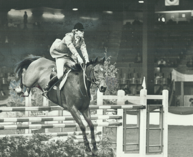 jenkinson equestrian