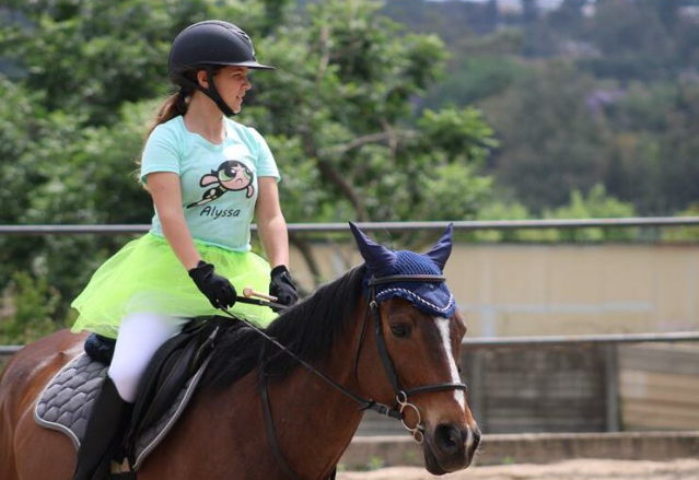 honeydew equestrian centre