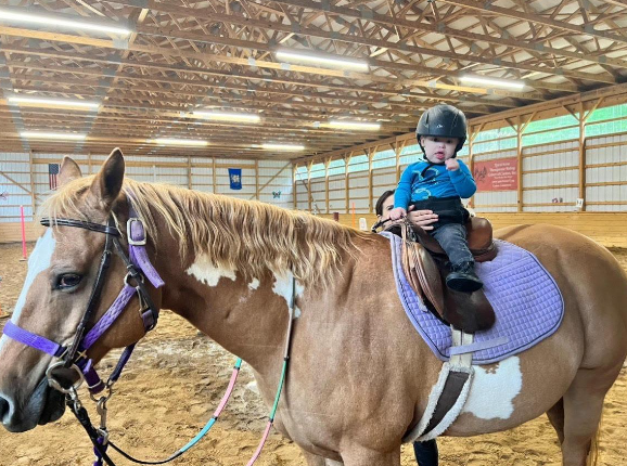 holistic riding equestrian therapy