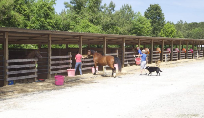 hodges equestrian park