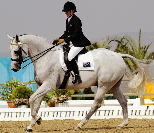 horseback riding sports