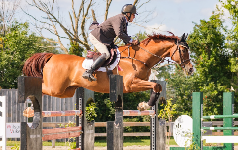 hugh graham equestrian