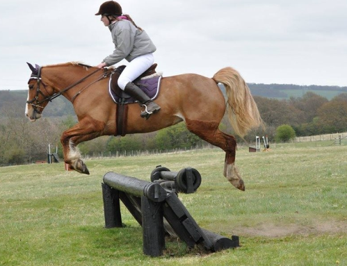 ivesley equestrian centre