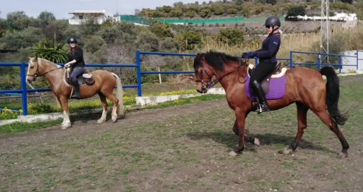 jade equestrian