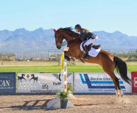 horse riding show jumping