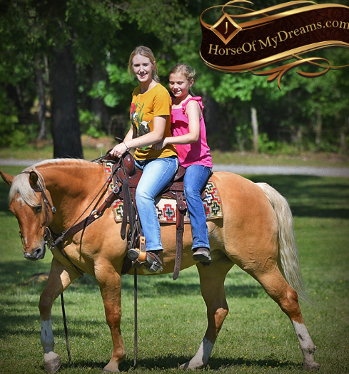 horse riding jersey