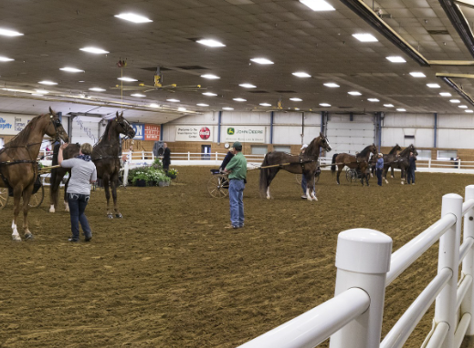 horse riding center