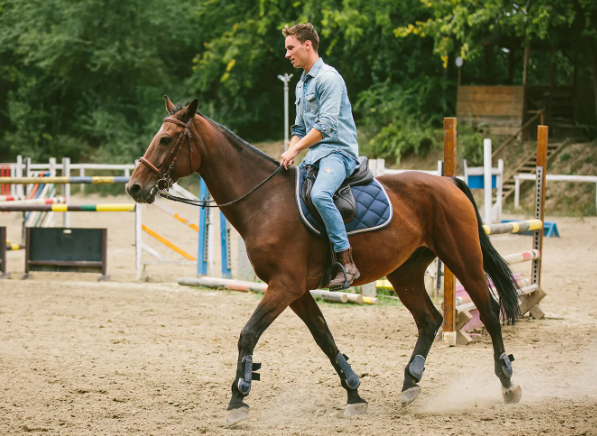 horse riding a man