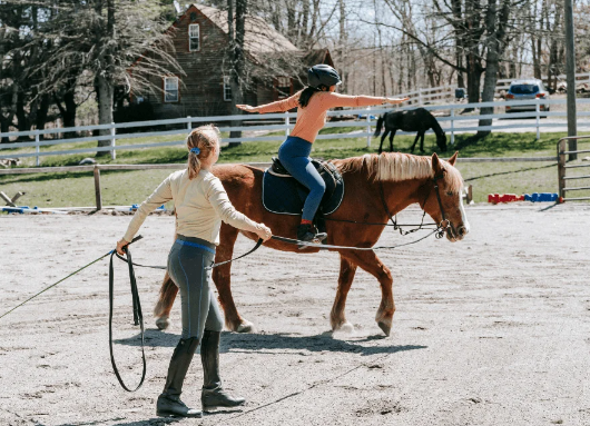 horse riding beginners