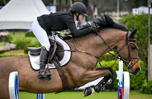 horse show jumping