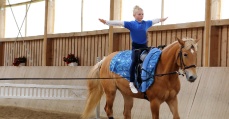 horse vaulting for beginners