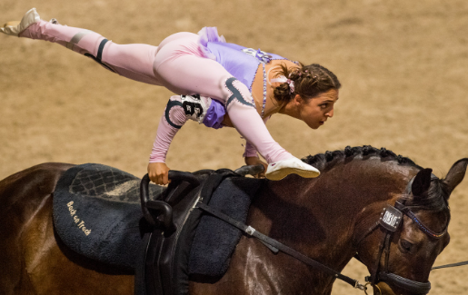 horse vaulting