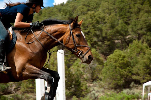 horseback riding for fun