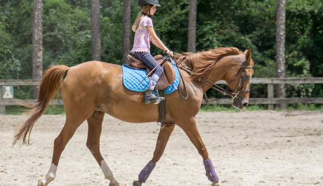 horseback riding club