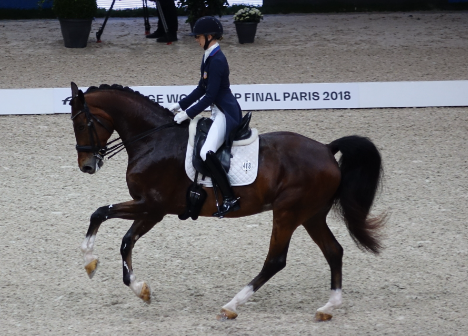 laura graves dressage