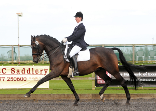 laura fry dressage