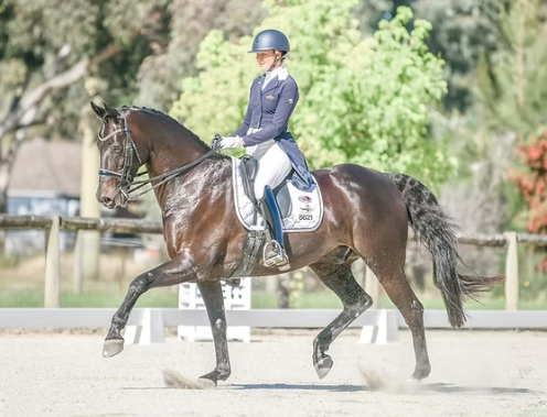 megan bryant equestrian