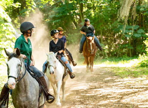 middleton equestrian centre