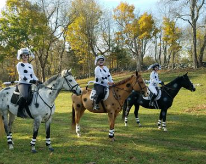 n&c equestrian