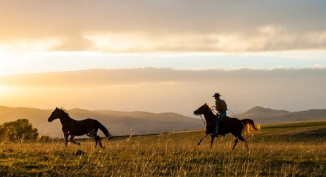 mt equestrian