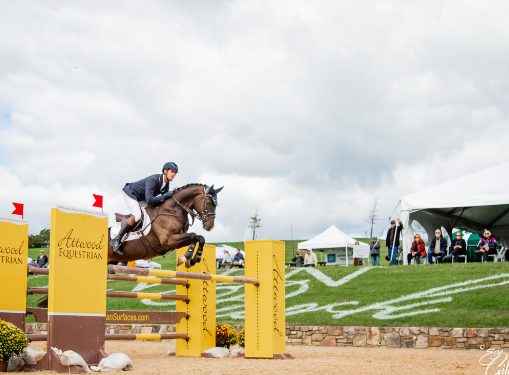 morrison equestrian center