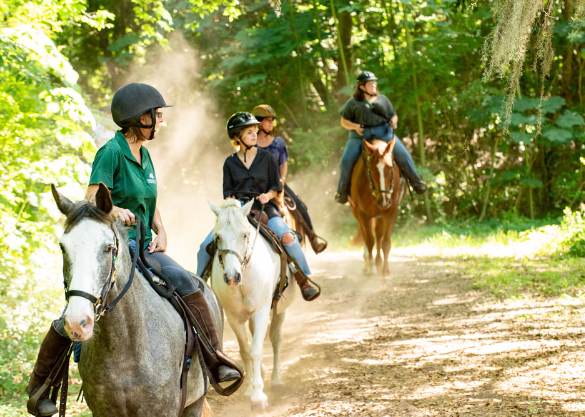 middleton place equestrian center