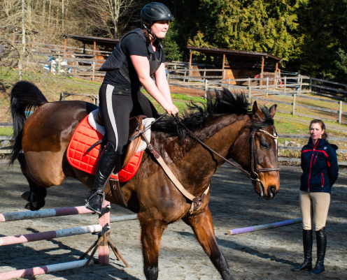 lw equestrian