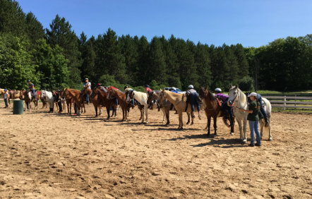 maple ridge equestrian