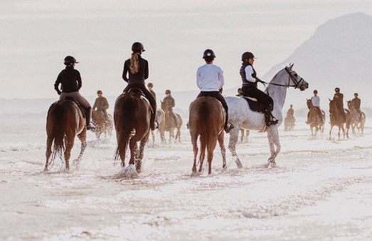 meant to be equestrian