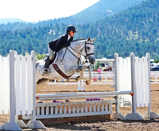 my equestrian