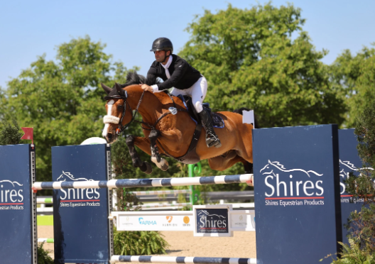 mm equestrian