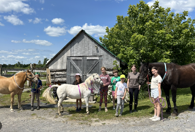 meadowvale equestrian