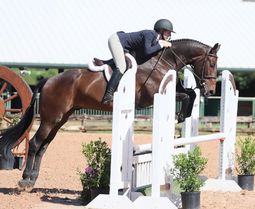 mb equestrian
