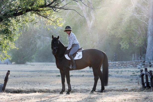 maplewood equestrian centre