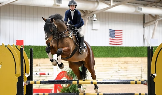 lunar hill equestrian