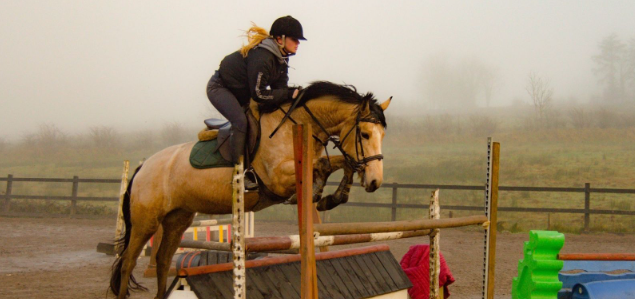 lough bo equestrian