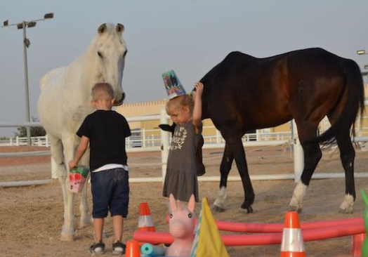 mandara equestrian club