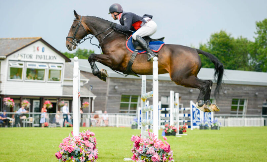 mark edwards showjumping