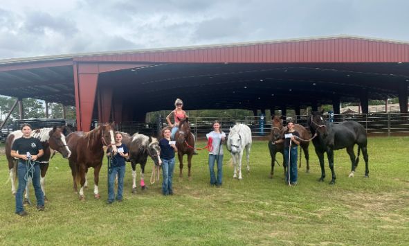 mediterranean equestrian tour