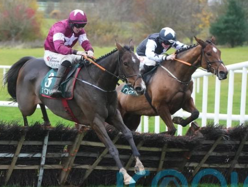 monksfield equestrian