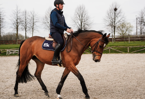 mrs ross equestrian