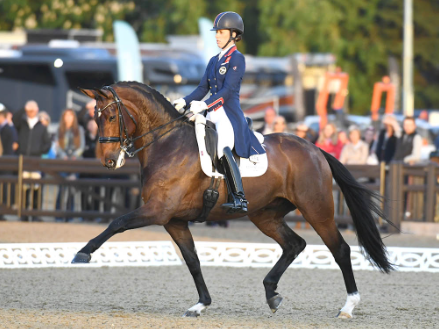 mount st john equestrian