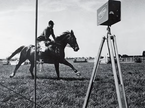 longines equestrian timing