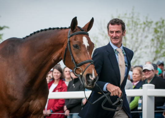 mark todd equestrian