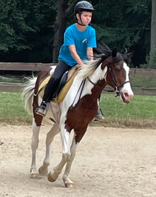 legup equestrian