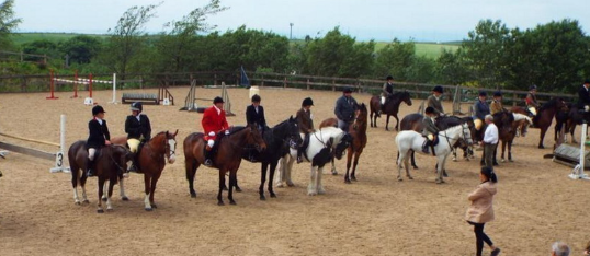 croft top equestrian