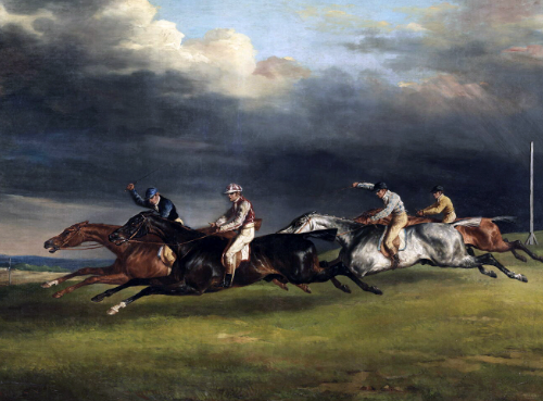 Draft Horse head shape differences across breeds