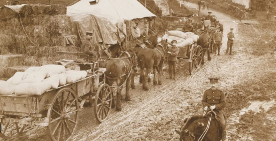 Draft Horse in World War era logistics and supply