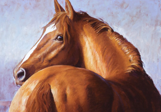 Draft Horse close up texture details for artists