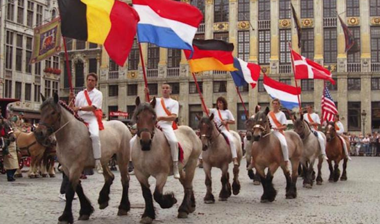 Draft Horse festivals and cultural traditions in Europe